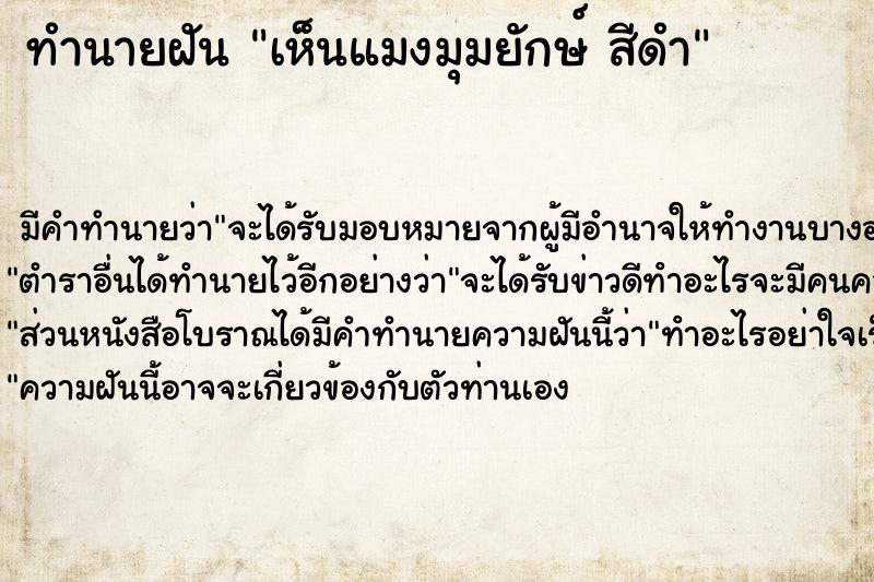 ทำนายฝันเห็นแมงมุมยักษ์สีดำ ทำนายฝันทำนายฝันเห็นแมงมุมยักษ์สีดำ